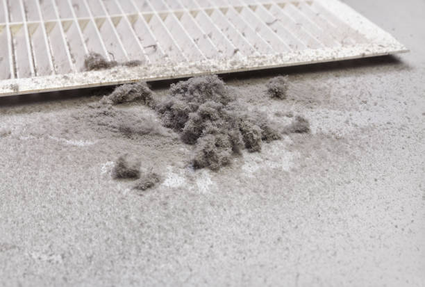 Best Commercial Air Duct Cleaning  in Rden, WA